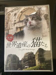 新品　DVD　シンフォレストDVD 世界遺産の猫たち Cats of the World Heritage