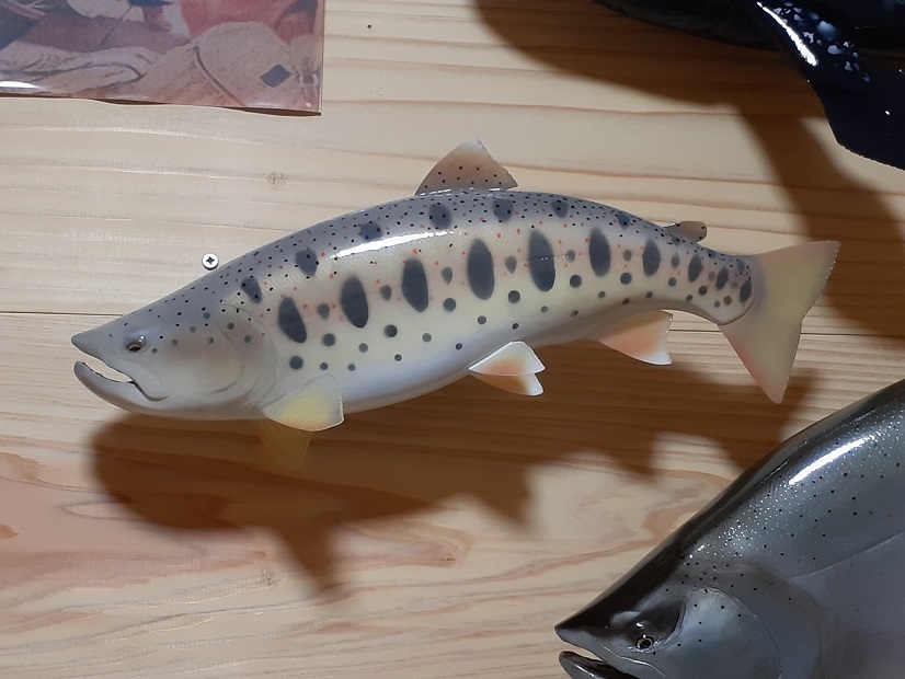 2022年春夏再販! ハンドメイド 64cmサクラマス 釣り フィギュア