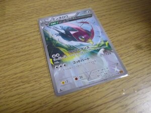 【ポケモンカード】開封後、即スリーブ保管未使用品　1ed　フルアート　ケンホロウ　XY6