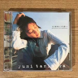 【即決】E291 帯付 中古CD100円 谷村有美 圧倒的に片想い