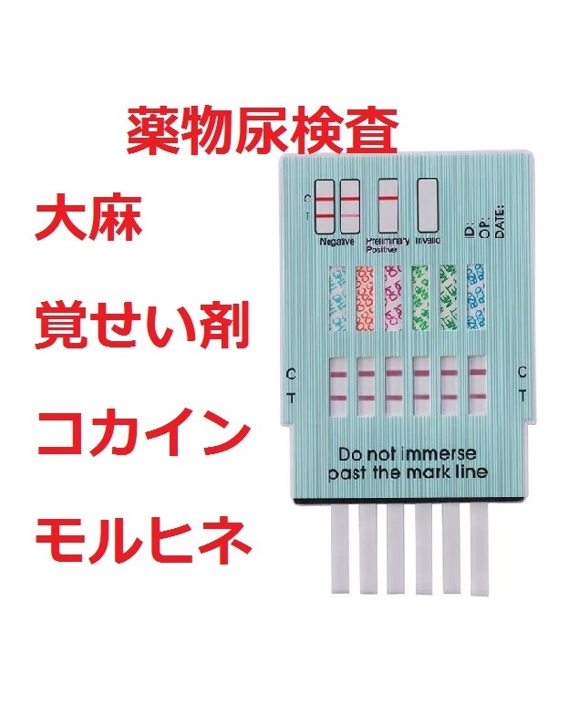 004☆おすすめ商品☆ニッタ ルミノメーター(高感度ATP検査測定キット
