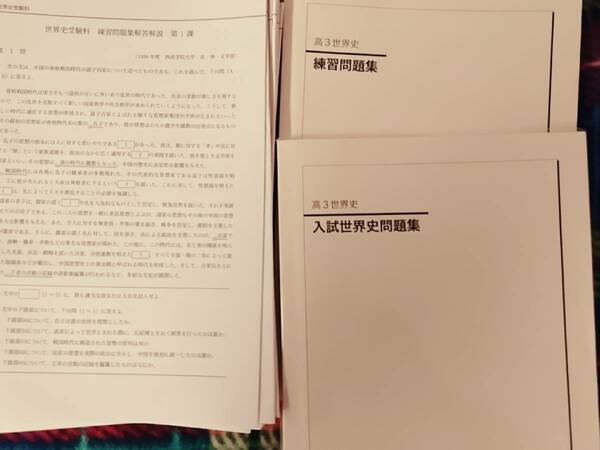 鉄緑会　高3世界史　練習問題集　入試世界史問題集　解説 駿台 河合塾 鉄緑会 代ゼミ Z会 ベネッセ SEG 共通テスト