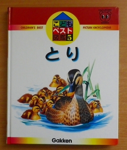 ko.. the best illustrated reference book (5)..