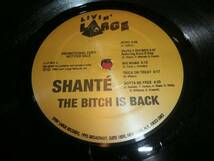 ROXANNE SHANTE / BITCH IS BACK /LP/RAGGA HIP HOP/90'S HIP HOP/90年代ヒップホップ/ブーンバップ_画像2