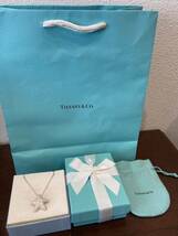 新品 正規品 ティファニー tiffany&co ネックレス スター　スターフィッシュ 星　シルバー ケース巾着紙袋リボン 箱　プレゼント_画像4