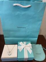 新品 正規品 ティファニー tiffany&co ネックレス スター　プレート シルバー ケース巾着紙袋リボン 箱　プレゼント_画像9