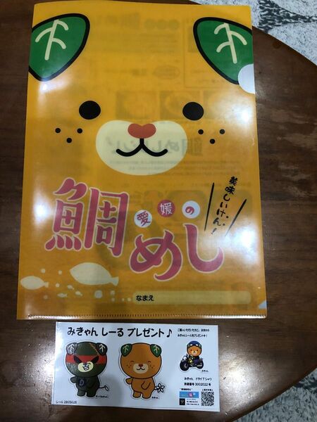 愛媛県　鯛めし　ご当地キャラクター　みきゃん　クリアファイル　A4