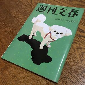 送料込☆古雑誌☆週刊文春 2005(平成17).6.16 貴乃花衝撃告白3時間 原色美女図鑑 あびる優 他☆林真理子 内田康夫 他☆文藝春秋