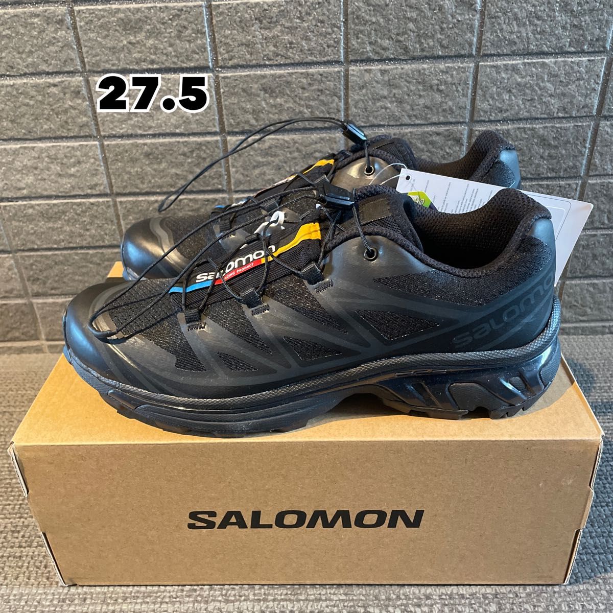 特価 XT-6 【新品未使用】SALOMON Chocolate XT-6 28.5cm GORE-TEX