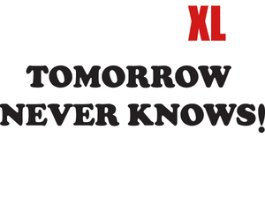 TOMORROW NEVER KNOWS Ringer T-shirt WHITE×BLACK XL/リンガーtシャツバンドt音楽tサイケヒッピーストーンズジミヘンビンテージアメカジ