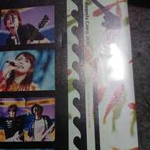 「Augusta Camp 2001」山崎まさよし / スガ シカオ DVD _画像6