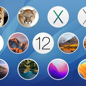 macOS 全12個セット【 Lion 10.7.5 〜 Ventura 13.0 】ダウンロード納品の画像1