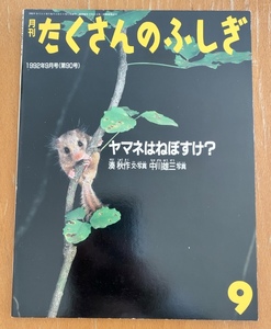 月刊 たくさんのふしぎ ヤマネはねぼすけ? 湊秋作/中川雄三 1992年9月号(第90号) 福音館書店 ムリネモの森(河本祥子 絵/今泉吉晴 監修)付