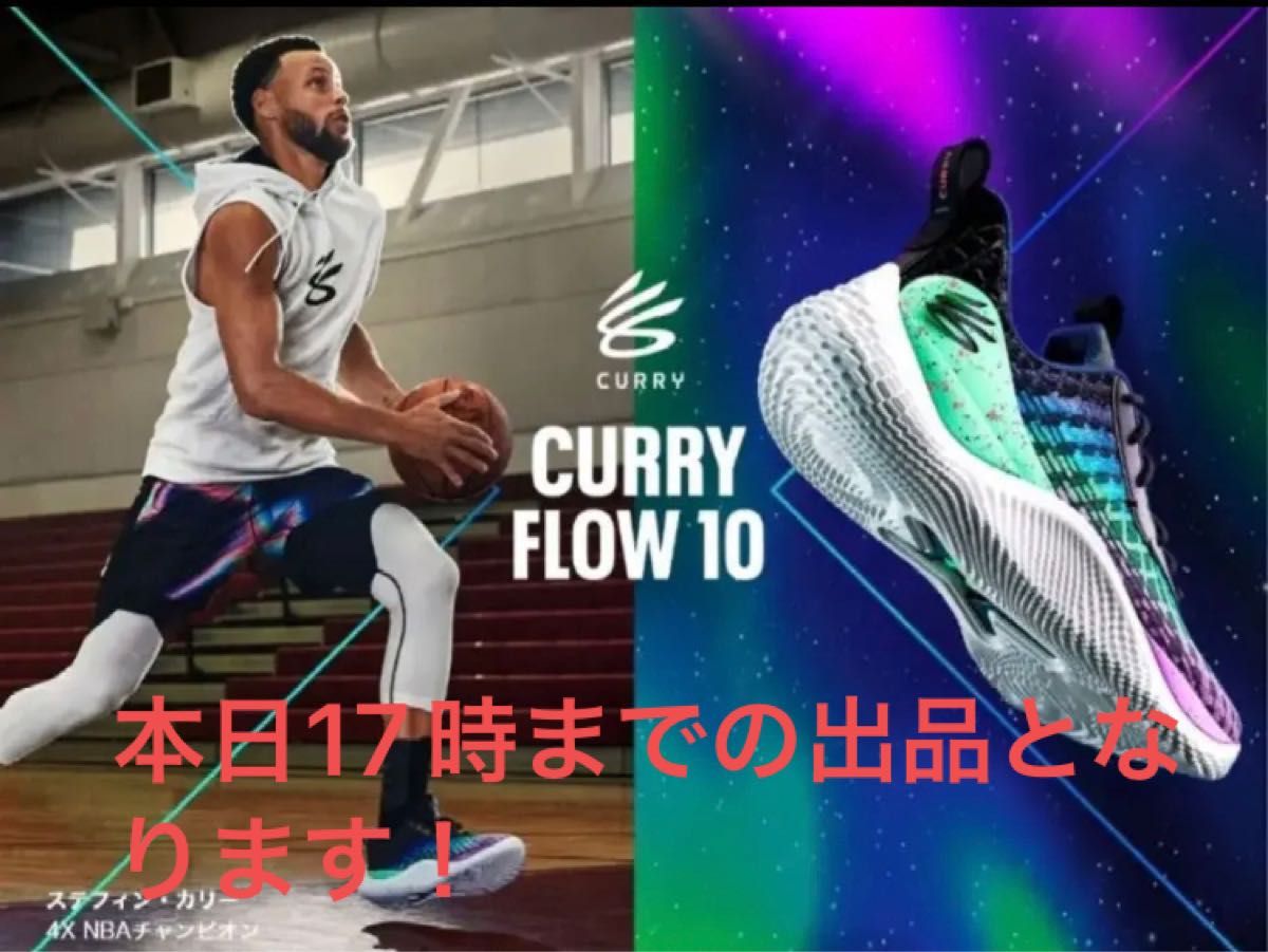 Curry Flow 10 カリーフロー10 29.5 cm バスケットボール