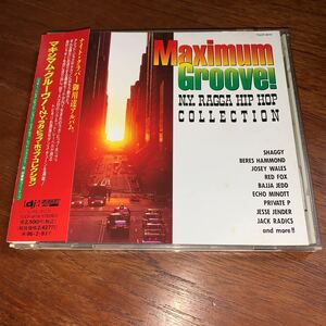 【即決送料込み】V.A. / Maximum Groove!: N.Y. Ragga Hip Hop Collection / マキシマム・グルーヴ / Shaggy / Beres Hammond / Red Fox