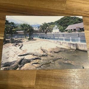 Beppu Onsen Hell Meguri Oniyama Onsen Postcard Picture Picture Picture открытка