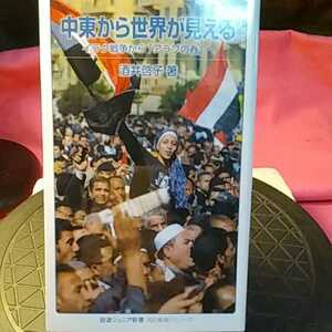 中東から世界が見える　イラク戦争から「アラブの春」へ （岩波ジュニア新書　７６７　〈知の航海〉シリーズ） 酒井啓子／著