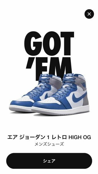 NIKE AIR JORDAN 1 RETRO HIGH OG TRUE BLUE US10.5/28.5cm 2023/1/14発売 SNKRS購入 国内正規,黒タグ付 エア ジョーダン トゥルー ブルー