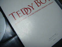 SNAKE ON THE BEACH・TEDDY BOY・チバユウスケ・赤い季節主題歌・オフィシャルブック特典DVD_画像4