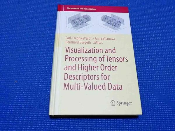 Visualization and Processing of Tensors and Higher Order Descriptors for Multi-Valued Data テンソルと高次記述子の可視化と処理 洋書
