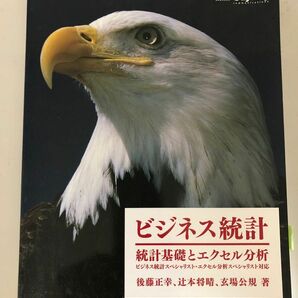 ビジネス統計　統計基礎とエクセル分析 後藤正幸／著　辻本将晴／著　玄場公規／著