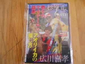 即決DVD246）杉原正浩 春イカデイゲーム・広川嘉孝 アオリイカの探し方　付録のDVD　