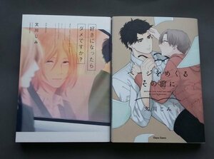 【2冊】 好きになったらダメですか？ ページをめくるその前に 文川じみ １巻完結 BL ★ 即決 中古本 漫画 LVDBL