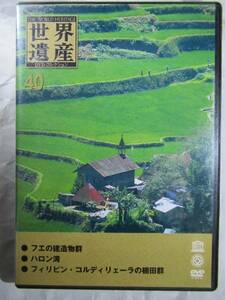 DVD cell version travel. front after Vietnam is long .,fe Philippines ko Rudy lie-la. shelves rice field group 