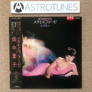 美盤 美品 畑中葉子 Yoko Hatanaka 1982年 LPレコード メタモルフォーゼ Metamorphose プロモ盤 帯付 J-Pop ビートたけし アナーキー仲野茂