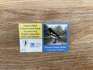 ne pearl. wild bird pin badge himalayaOriental Magpie Robin