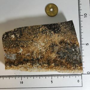 商品NO:k139 デンドライト 忍石 しのぶ石 忍ぶ石 天然石 鉱物 鉱物標本 パワーストーン 原石