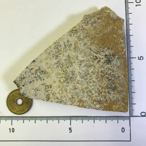 商品NO:k135 デンドライト 忍石 しのぶ石 忍ぶ石 天然石 鉱物 鉱物標本 パワーストーン 原石