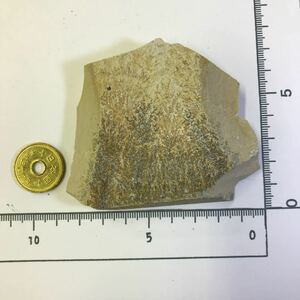 商品NO:k123 デンドライト 忍石 しのぶ石 忍ぶ石 天然石 鉱物 鉱物標本 パワーストーン 原石