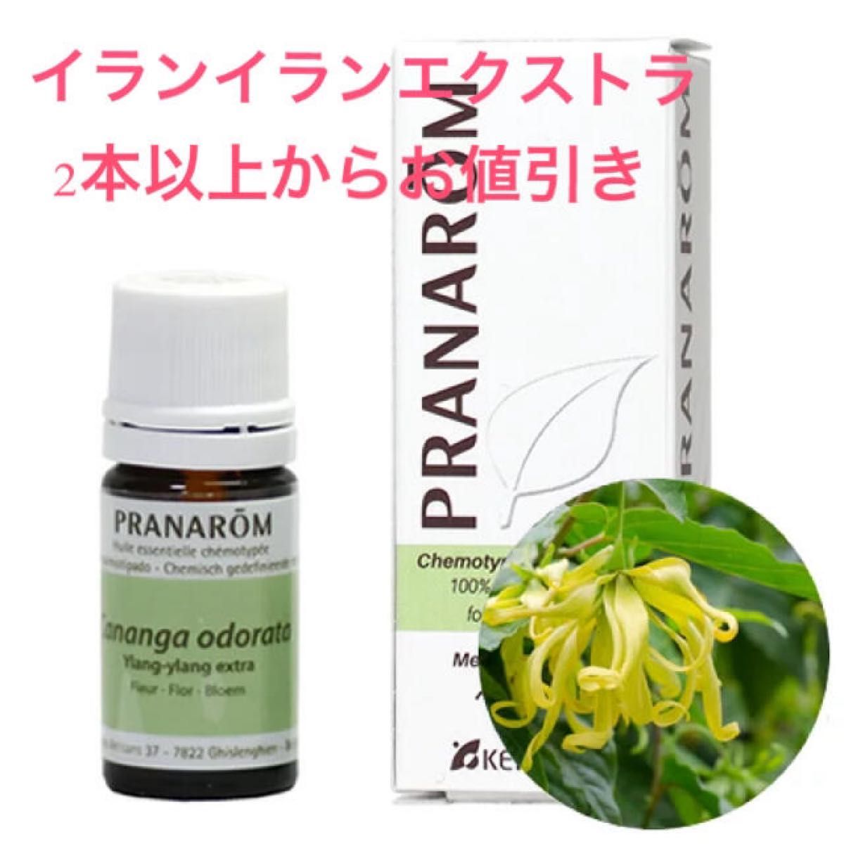 今だけ値下げ 送料無料 プラナロム 健草医学舎 ホホバオイル 業務用