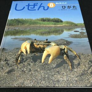 b-420 しぜん ⑧ キンダーブック ひがた(指導) 茂木正人(写真)中村武弘 2011年8月1日 第40集第5編 発行 ※0