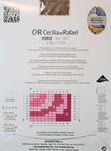 ■オールスルー　Cecilia de Rafael セシリアデラファエル　Vidrio 15den　4-L　ベージュ系光沢3■_画像2