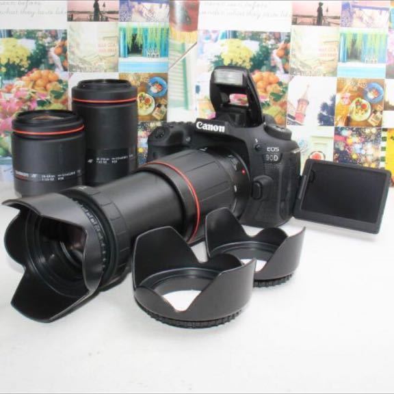 予備バッテリー&新品カメラバッグ付Nikon D7500 ダブルズーム カメラ 