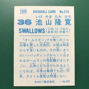 1988年 カルビー プロ野球カード 88年 210番 ヤクルト 池山      【管理737】の画像2