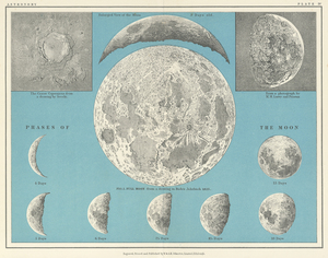 ☆アンティーク天文図版 天体観測 宇宙 星座図 天文古書 「The Twentieth Century Atlas Of Popular Astronomy」イギリス1922年☆