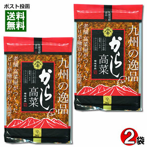 菊池食品 九州の逸品 からし高菜 250g×2袋まとめ買いセット