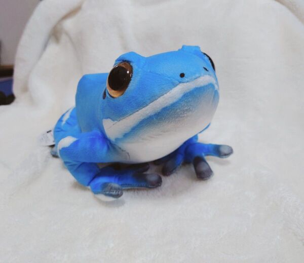 アマガエルBICぬいぐるみ
