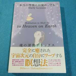 魂の深奥デトックス　本当の呼吸に目覚め、守るＤａｉｌｙ　Ｌｅｓｓｏｎ Ｄｉｌａ／文　Ｙｕｋｉｅ、Ａｍａｎｅ／絵●送料無料・匿名配送