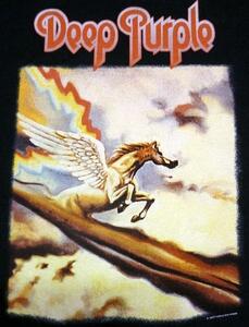 ★ディープ パープル Ｔシャツ Deep Purple Storm Bringer - M 正規品 嵐の使者