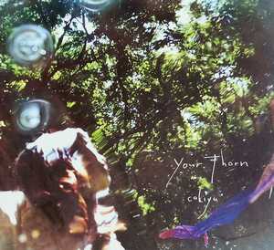 【cokiyu/Your Thorn】 国内CD