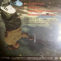 FIRE BALL 『Joyful Days』MIGHTY CROWN,KEN-U,CHEHON,湘南乃風,BROWN SUGAR,MOOMIN,YOYO-C,NANJAMAN,VADER,PETER MAN_画像2