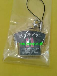 オジュウチョウサン▲阪神スプリングジャンプ▲勝負服ストラップ▲阪神競馬場▲【送料無料】