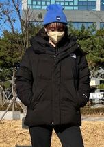 ★THE NORTH FACE★FREE MOVE DOWN JACKET XXLサイズ_画像8
