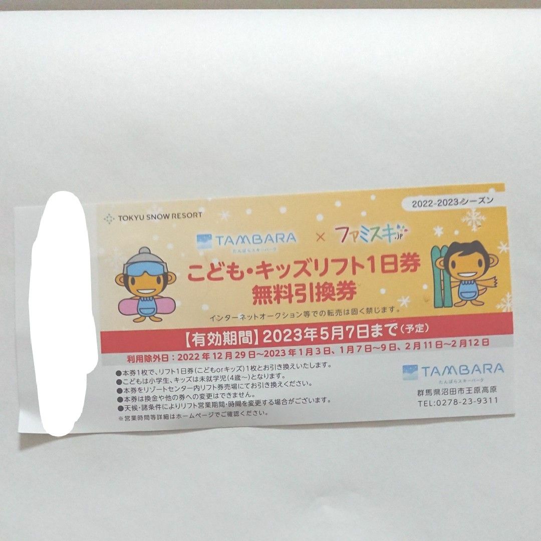 ビスケ様専用】上越国際スキー場 岩原スキー場 リフト1日券 5枚- ファミスキ こどもリフト一日券無料引換券 セット