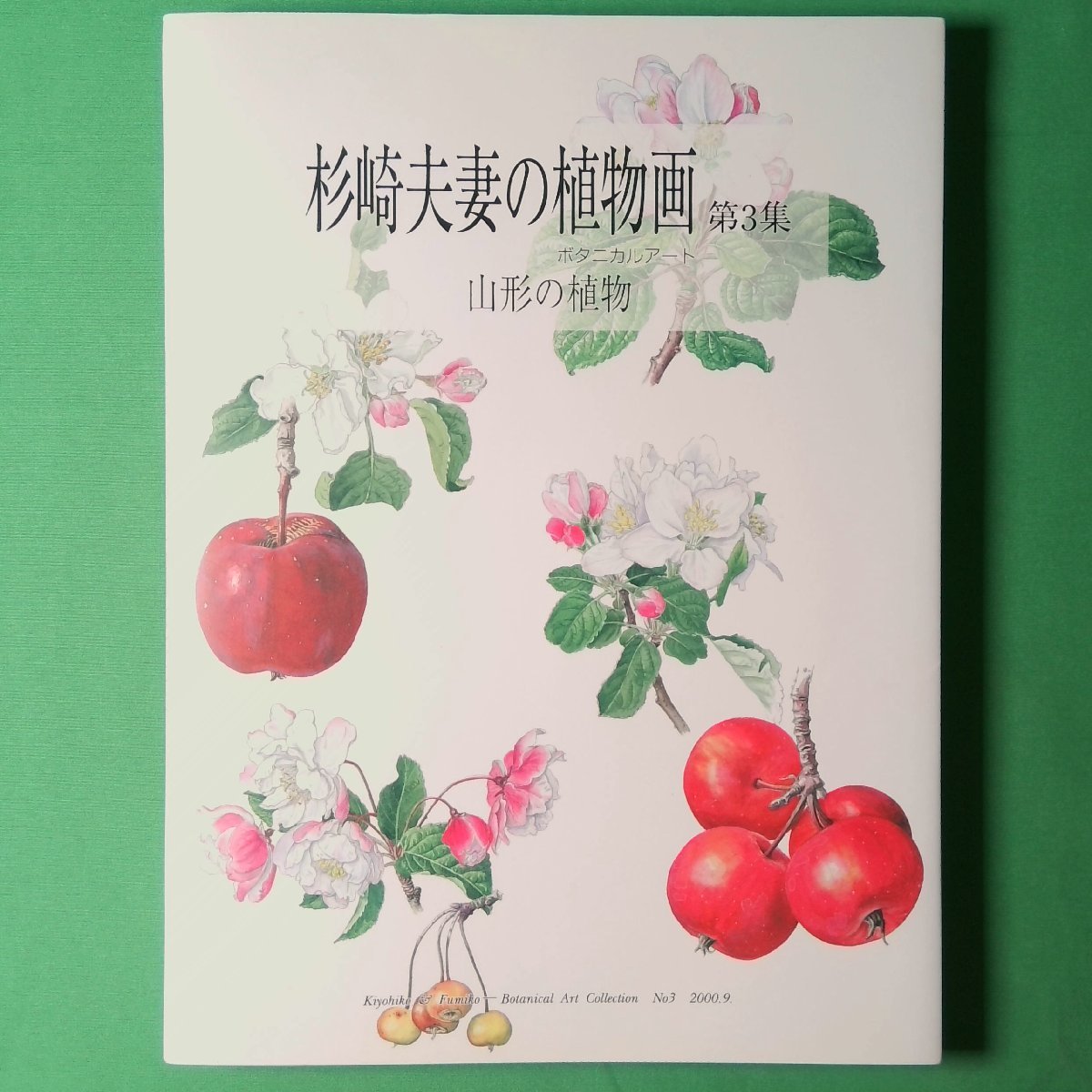 Yahoo!オークション -「植物画 ボタニカルアート」(図録) (画集、作品