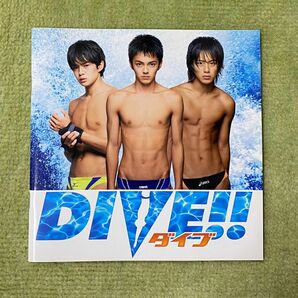 林遣都 DIVE!! ダイブ 劇場版 映画パンフレット 2008年 レアもの 希少 池松壮亮 溝端淳平